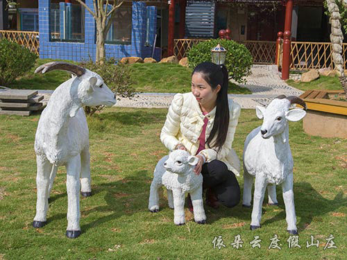 游客自拍圖1